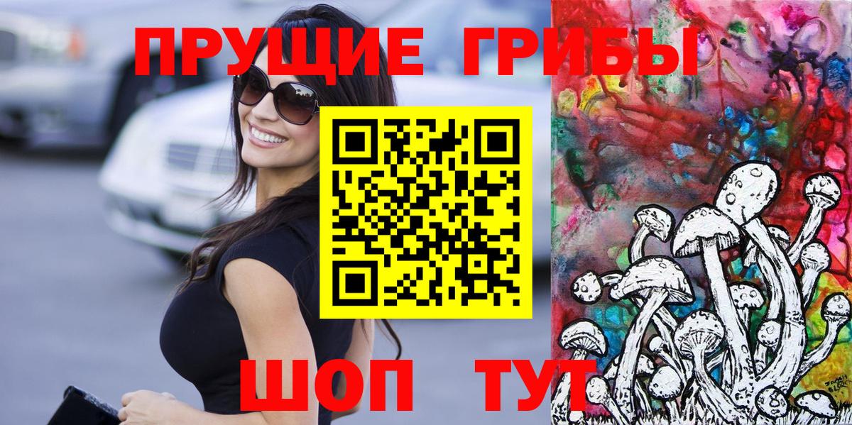 Тосно  Псилоцибиновые грибы GOLDEN TEACHER  Вход с VPN  Псилоцибиновые грибы мухоморы 