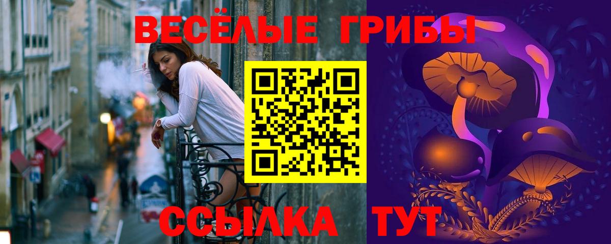 Псилоцибиновые грибы MAGIC MUSHROOMS Тосно